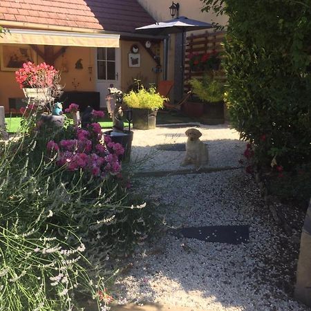 Вилла Le Jardin De Theleme "Charme Discret Pour Un Nid Douillet" Mazille Экстерьер фото