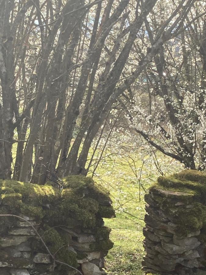 Вилла Le Jardin De Theleme "Charme Discret Pour Un Nid Douillet" Mazille Экстерьер фото